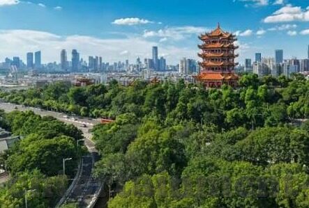 深圳星空体育-深圳星空体育，点亮城市夜空的体育新景象